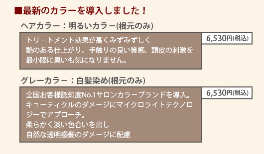 �V�����J���[